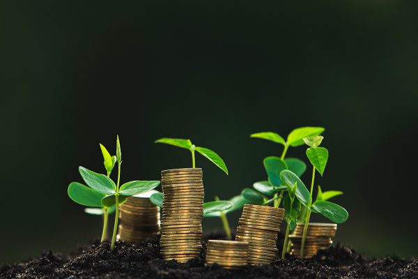 Build Your Endowment with Two Easy, No Cost Strategies