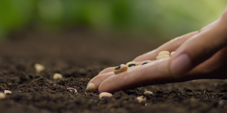 Planting Seeds of Generosity