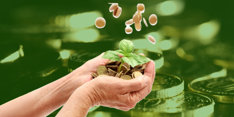 Investigating the Investment 